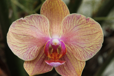 picasion-1.com_0bcb79e419896cab6ee4bfc0582f3b70